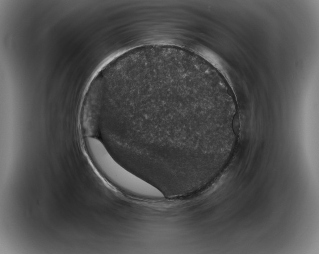 X0000085261141200703301827