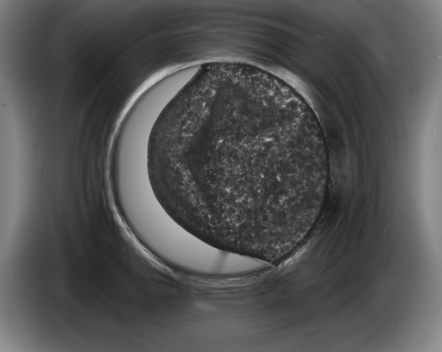 X0000085261142200703301827