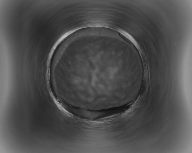 X0000085261144200703301827