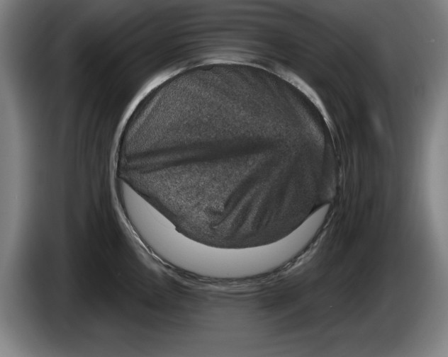 X0000085261146200703301827