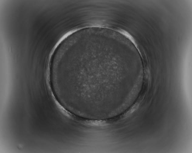 X0000085261147200703301827