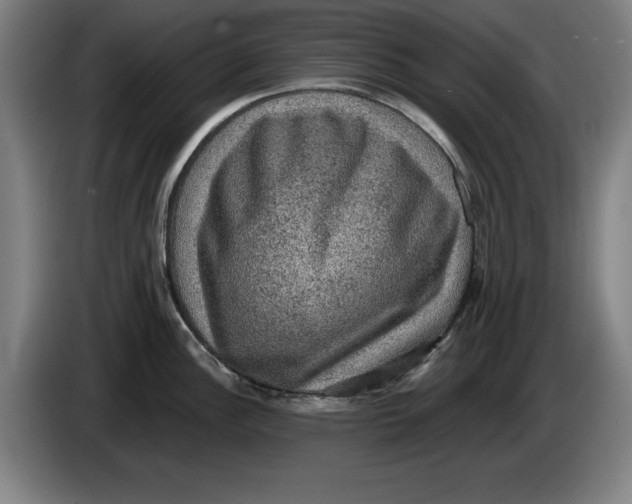 X0000085261148200703301827