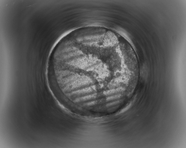 X0000085261149200703301827