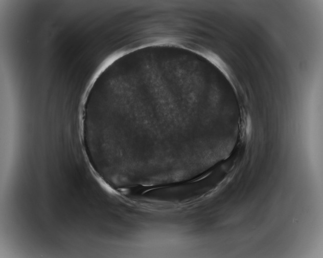 X0000085261151200703301827