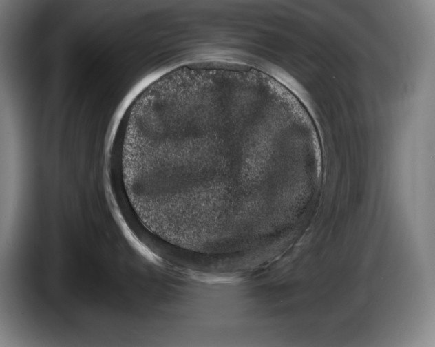 X0000085261152200703301827