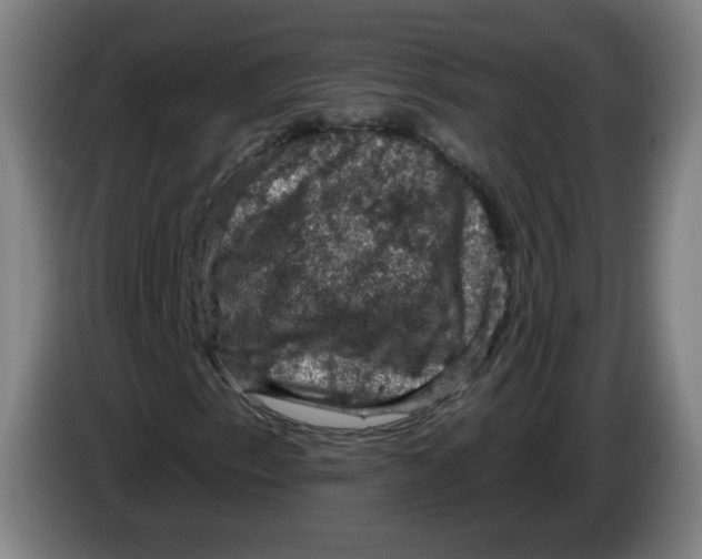 X0000085261153200703301826