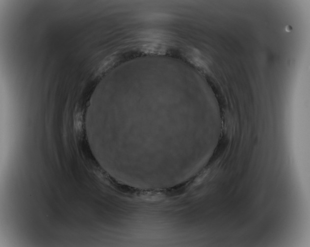 X0000085261154200703301826