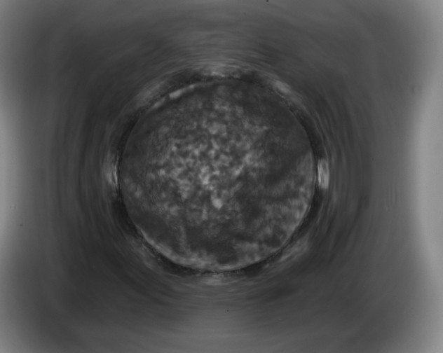 X0000085261155200703301826