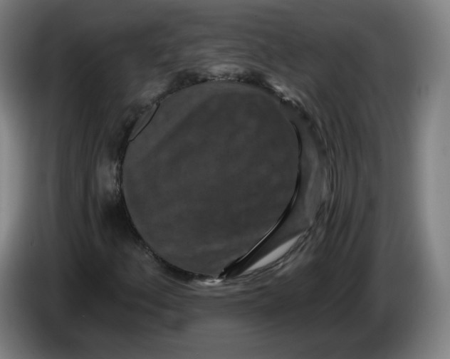 X0000085261156200703301826