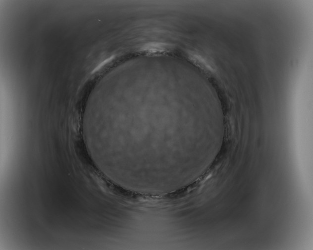 X0000085261158200703301826