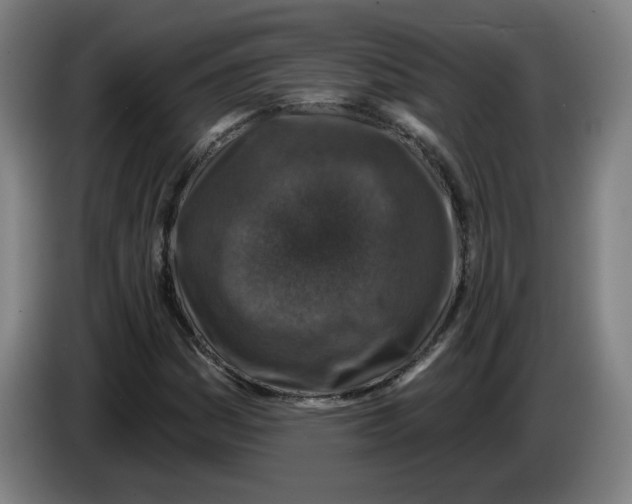 X0000085261161200703301826