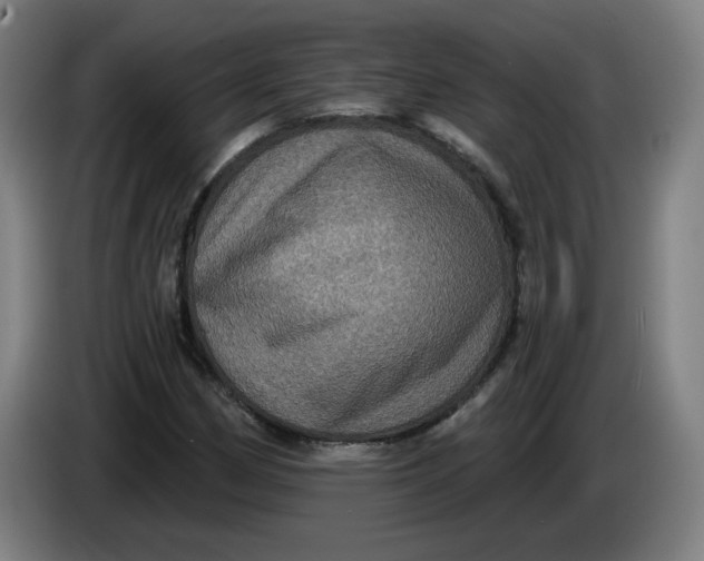 X0000085261162200703301826