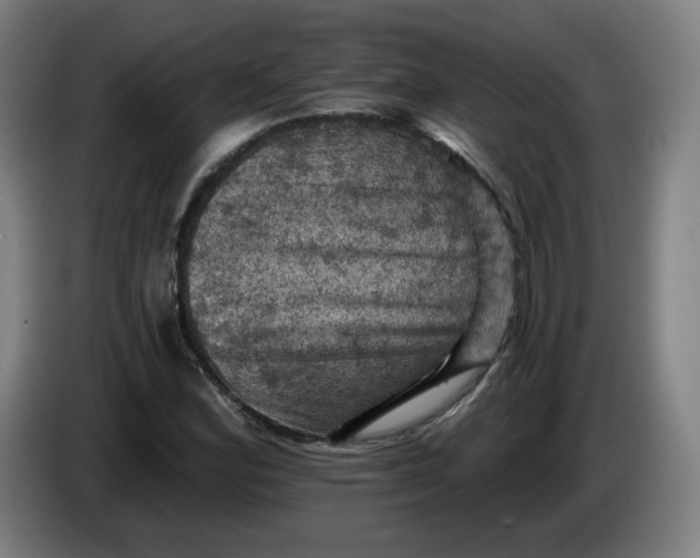 X0000085261164200703301826