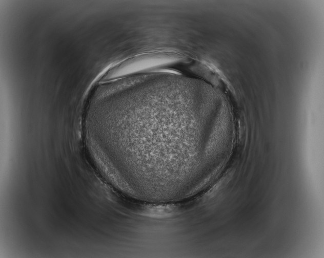 X0000085261165200703301826