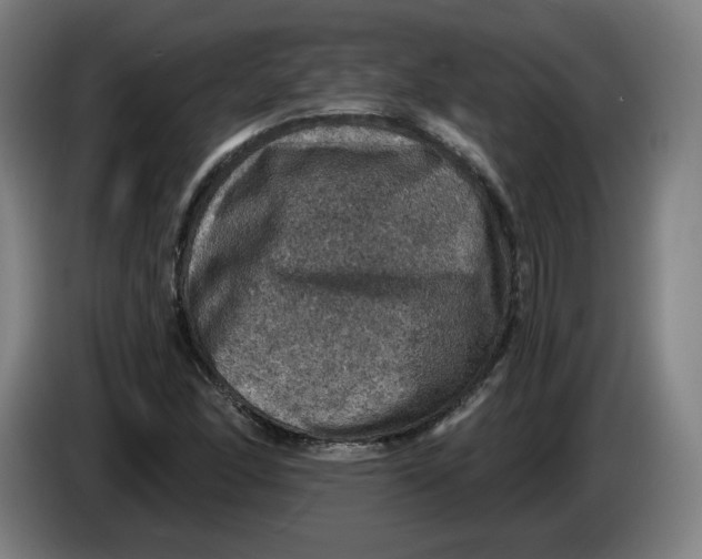 X0000085261166200703301826