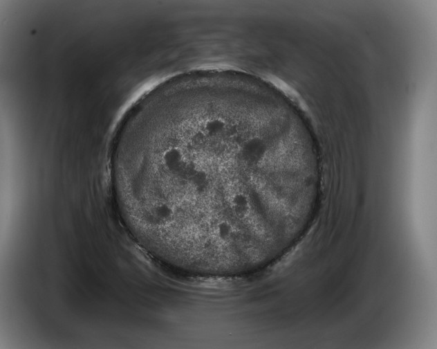 X0000085261167200703301826