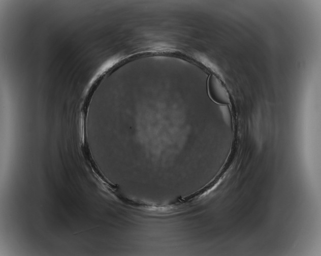 X0000085261171200703301826