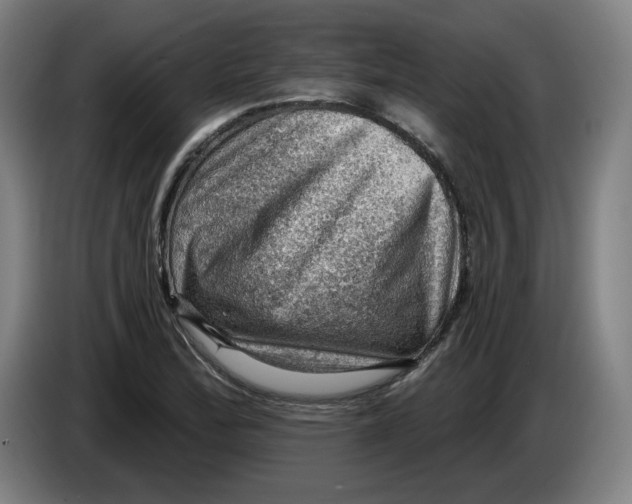 X0000085261172200703301826