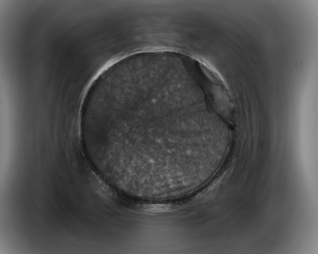 X0000085261173200703301826