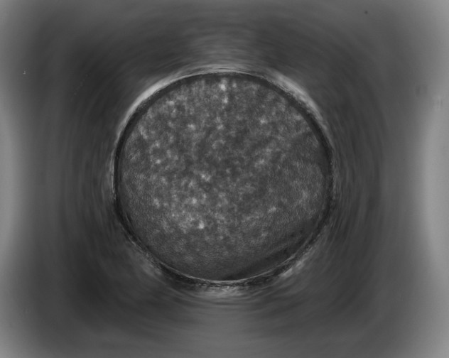 X0000085261174200703301826