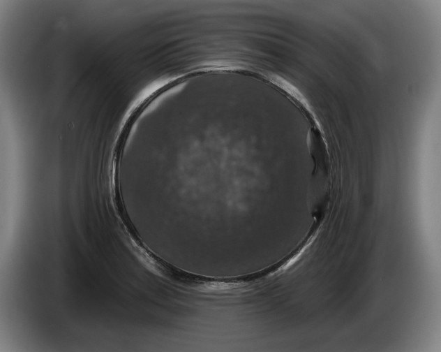 X0000085261179200703301826