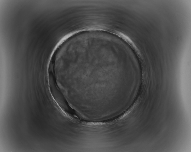 X0000085261184200703301826