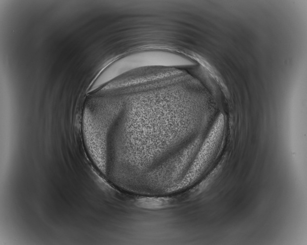 X0000085261185200703301826