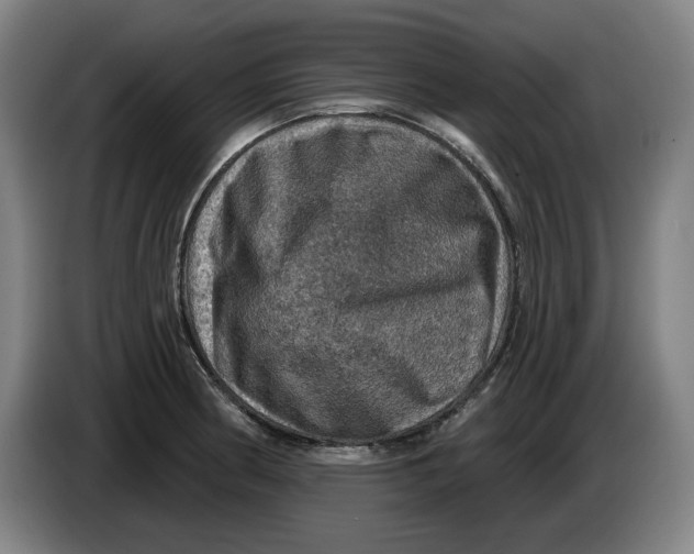 X0000085261186200703301826