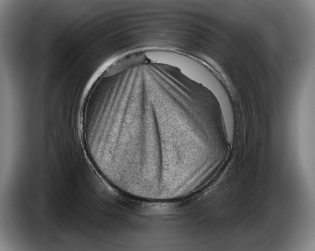 X0000085261188200703301826