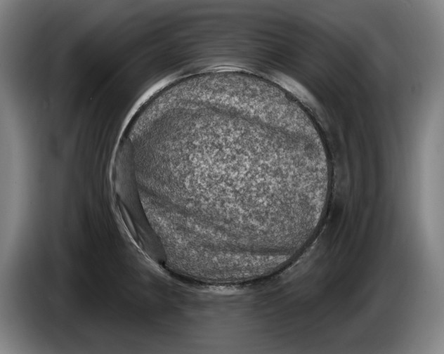 X0000085261190200703301826