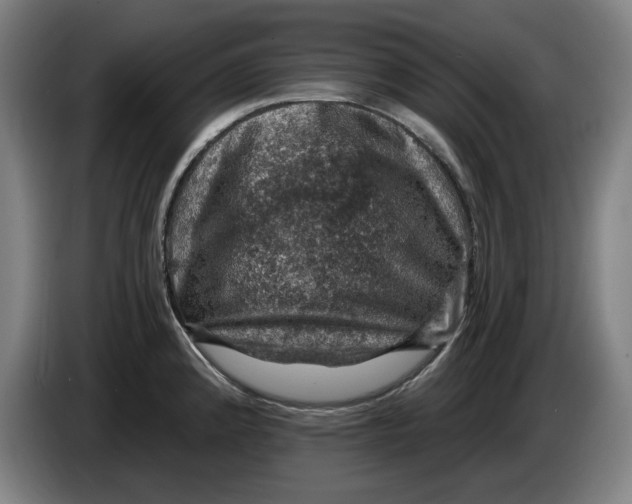 X0000085261192200703301826