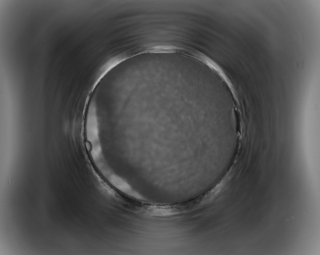 X0000085261194200703301826