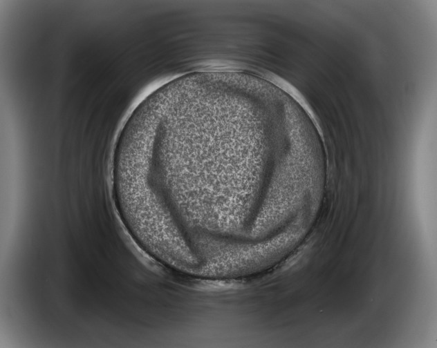 X0000085261195200703301826