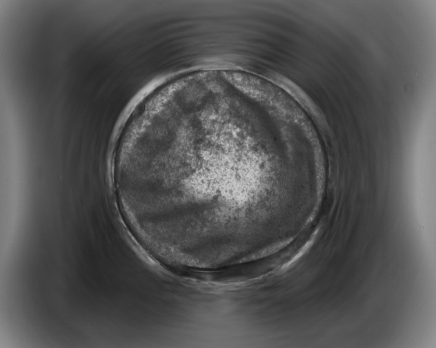 X0000085261196200703301826