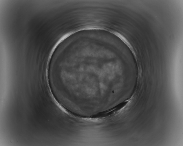 X0000085261197200703301826