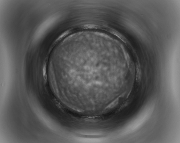 X0000085261198200703301826