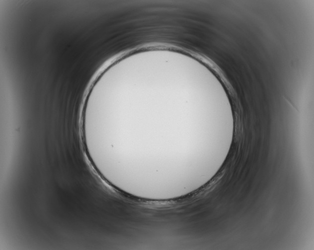 X0000085261199200703301826