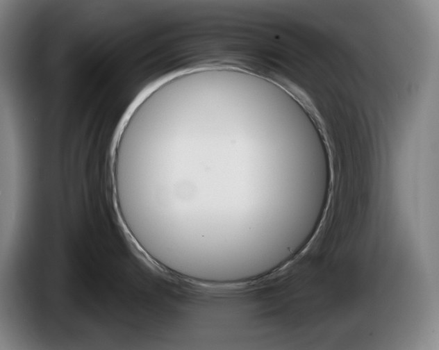 X0000085261200200703301826