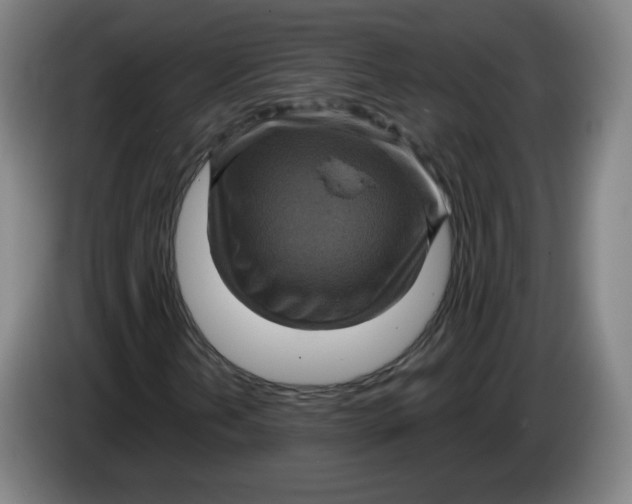 X0000085261202200703301825