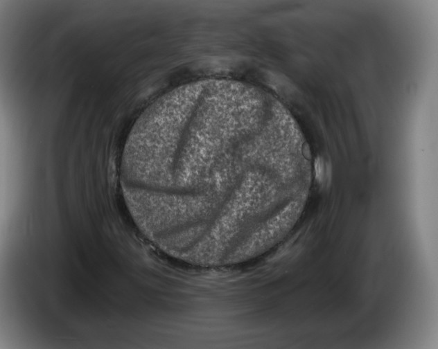 X0000085261203200703301825