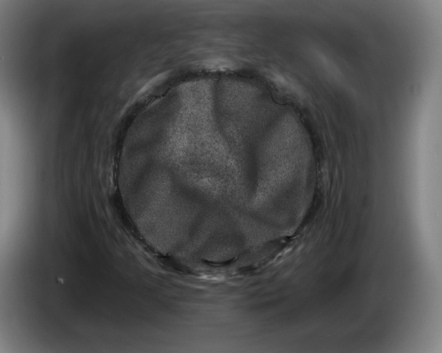 X0000085261205200703301825