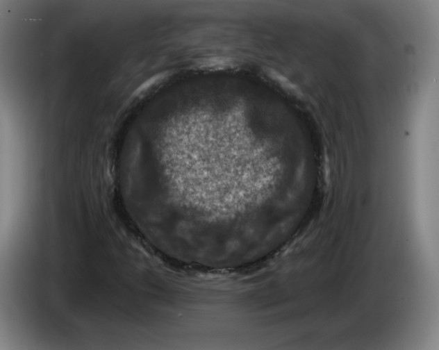 X0000085261206200703301825