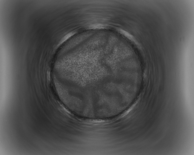 X0000085261209200703301825