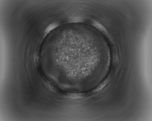 X0000085261210200703301825