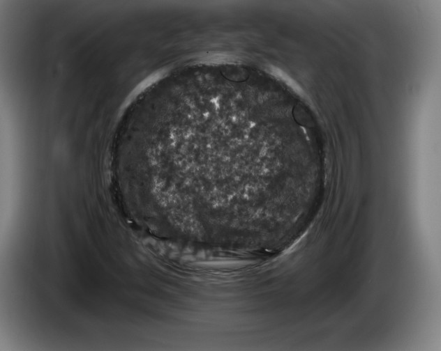 X0000085261213200703301825