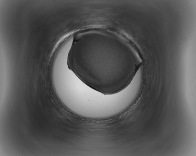 X0000085261214200703301825