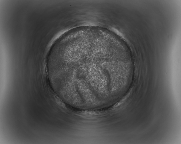 X0000085261215200703301825