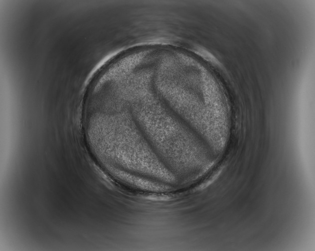 X0000085261216200703301825