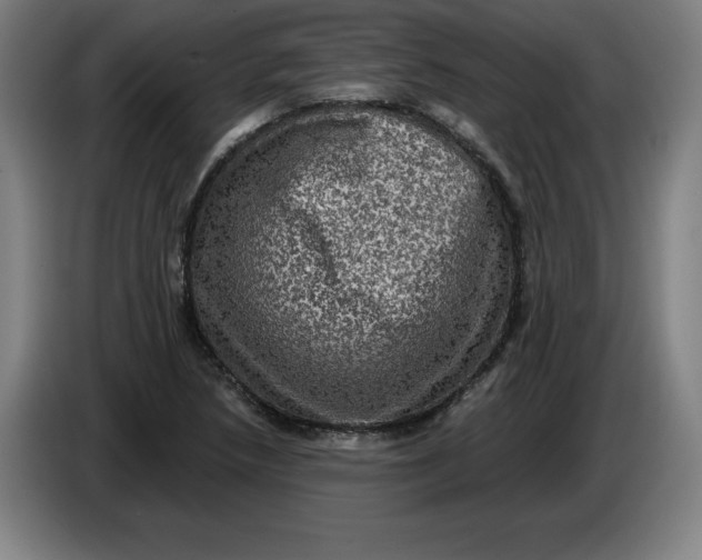 X0000085261218200703301825