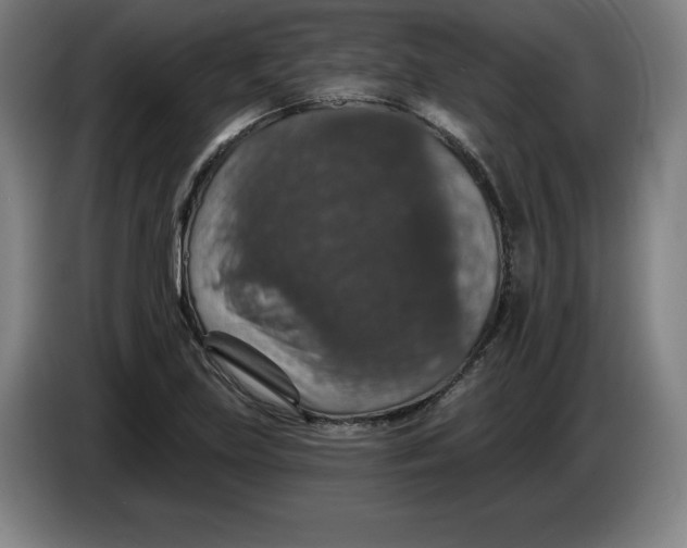 X0000085261219200703301825